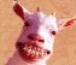 Avatar do Utilizador
