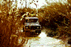Avatar do Utilizador